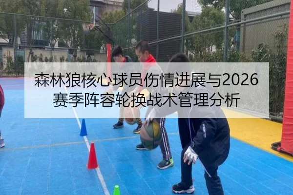 sen-lin-lang-he-xin-qiu-yuan-shang-qing-jin-zhan-yu-sai-ji-zhen-rong-lun-huan-zhan-shu-guan-li-fen-xi-2-987.jpg