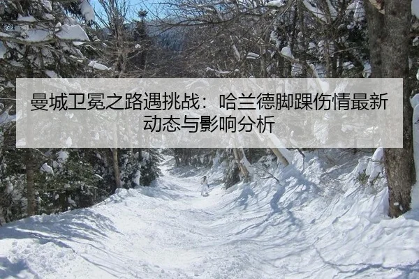 man-cheng-wei-mian-zhi-lu-yu-tiao-zhan-ha-lan-de-jiao-huai-shang-qing-zui-xin-dong-tai-yu-ying-xiang-fen-xi-2-412.jpg
