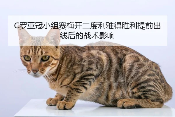 luo-ya-guan-xiao-zu-sai-mei-kai-er-du-li-ya-de-sheng-li-ti-qian-chu-xian-hou-de-zhan-shu-ying-xiang-2-113.jpg