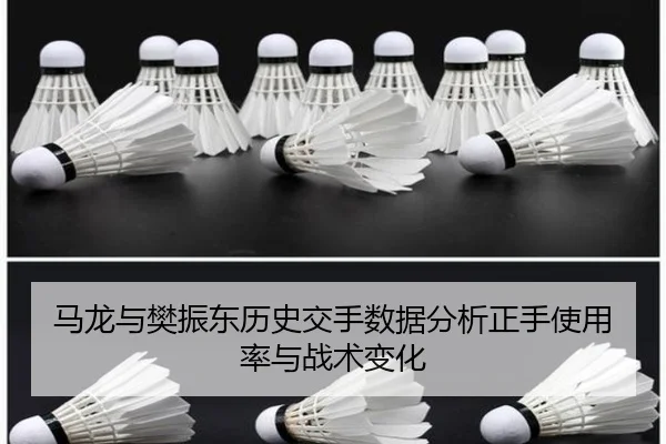 马龙与樊振东历史交手数据分析正手使用率与战术变化
